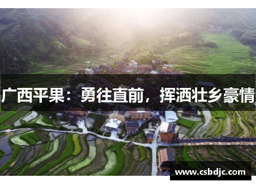 广西平果：勇往直前，挥洒壮乡豪情