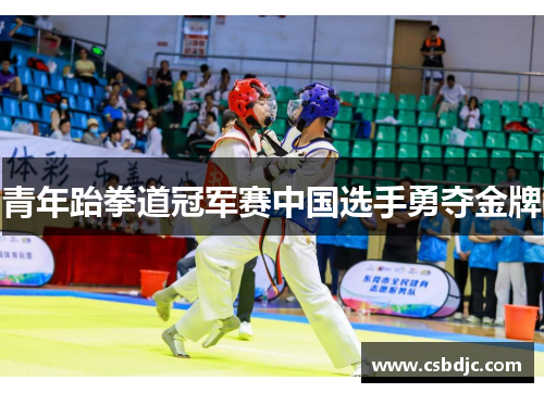 青年跆拳道冠军赛中国选手勇夺金牌